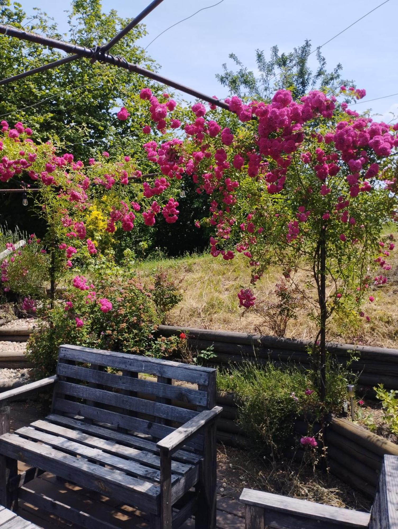 Fenetre Sur Loire Bed & Breakfast Iguerande Екстериор снимка
