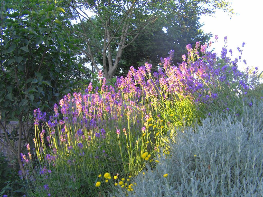 Fenetre Sur Loire Bed & Breakfast Iguerande Екстериор снимка