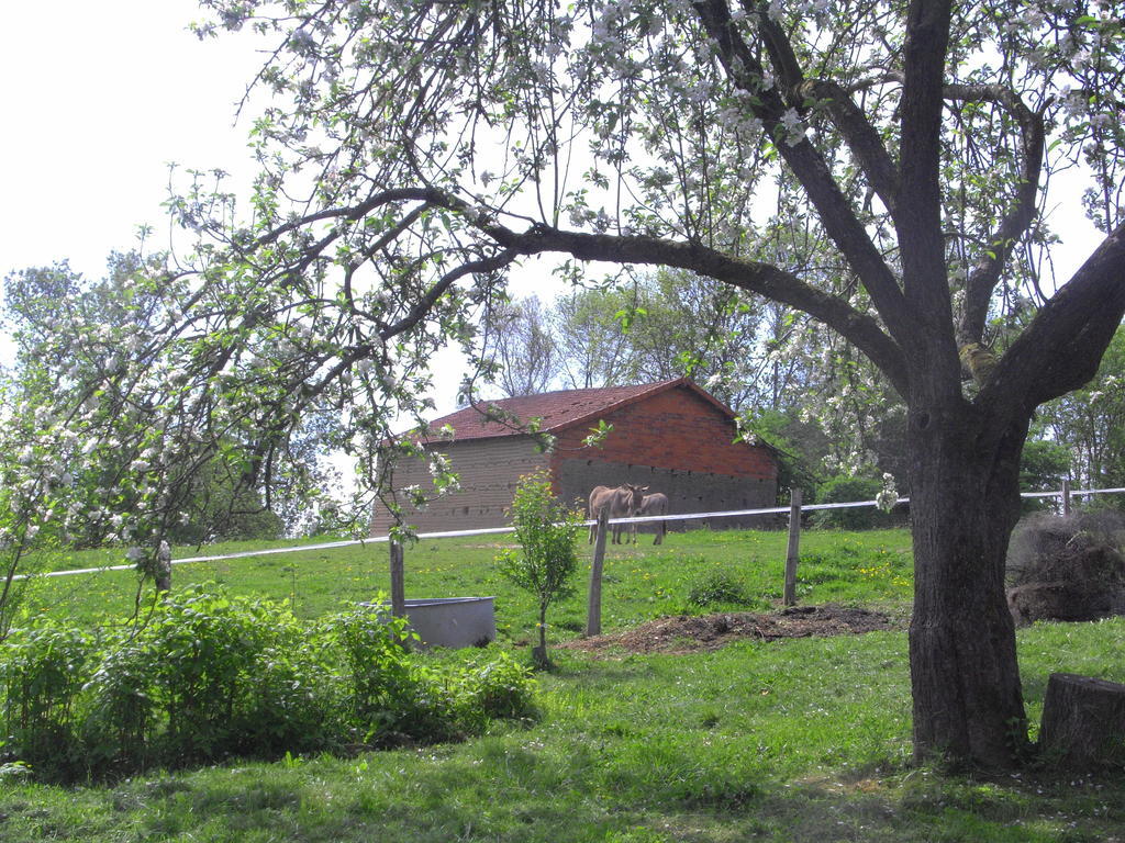 Fenetre Sur Loire Bed & Breakfast Iguerande Екстериор снимка
